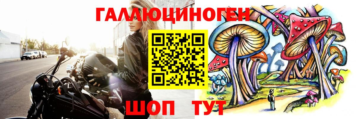 Галлюциногенные грибы GOLDEN TEACHER Шатура