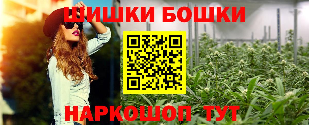 Конопля сатива Шатура